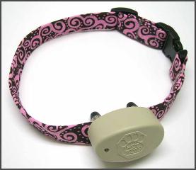 Your NEW collar!